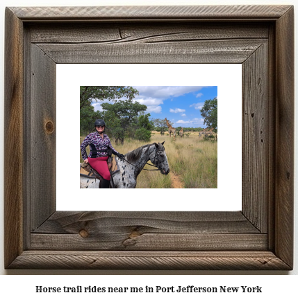 horse trail rides near me in Port Jefferson, New York